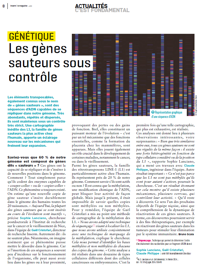 Article published in the Inserm Magazine n°60